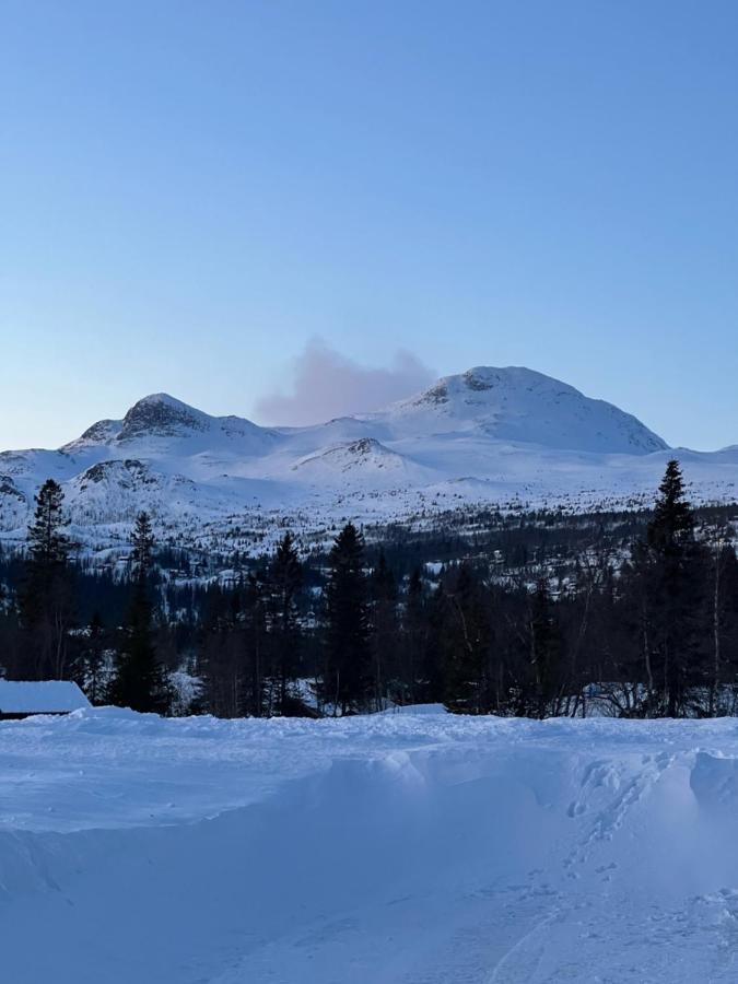 Brand New Cabin On The Sunny Side Of Gaustatoppen With A Great View Tuddal Esterno foto