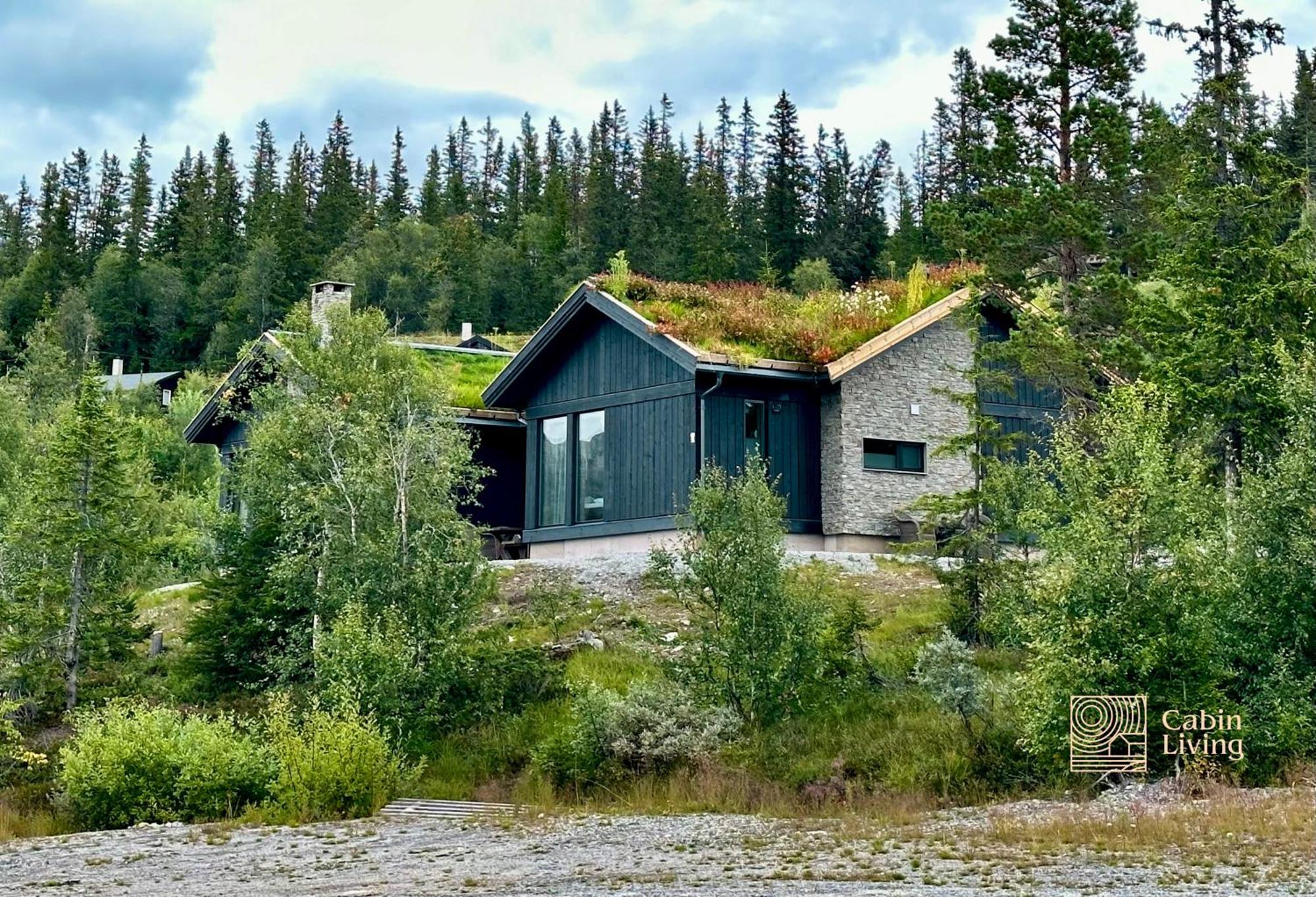 Brand New Cabin On The Sunny Side Of Gaustatoppen With A Great View Tuddal Esterno foto